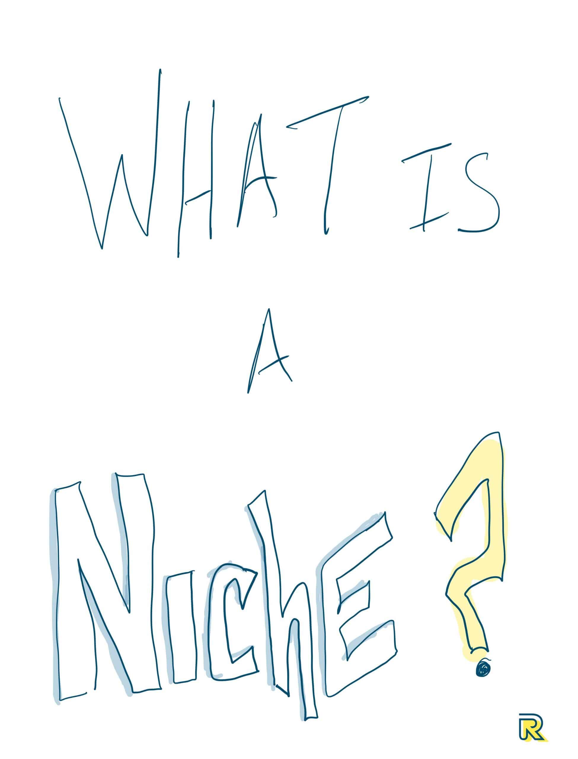 what is a niche